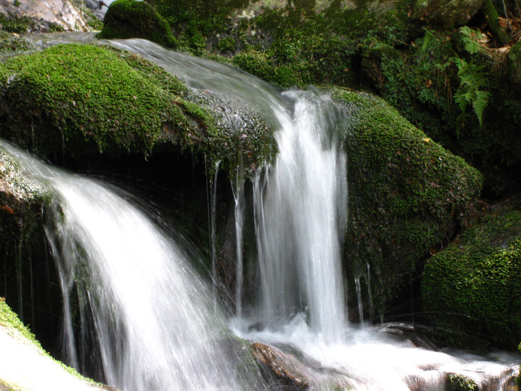An der Nagold