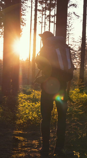 Wanderer im Wald im Gegenlicht